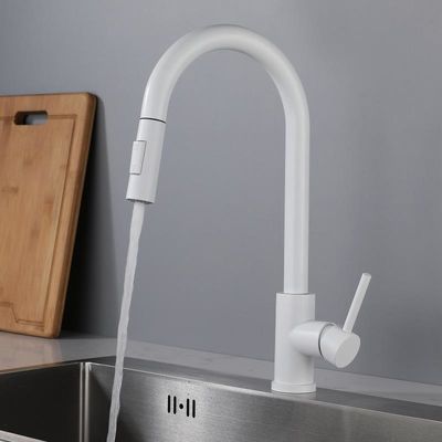 SUS304 Dapur Extendable Pull Out Sink Faucet Tap Dengan Sprayer Mat putih