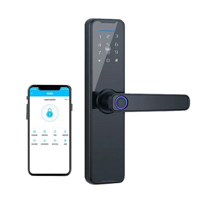 Keyless Entry Biometric Mortise Lock Fingerprint Keypad Door Lock