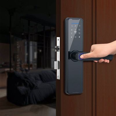 Keyless Entry Biometric Mortise Lock Fingerprint Keypad Door Lock