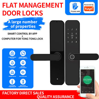 TTLOCK Tuya Graffiti Smart Outdoor Biometric Door Lock For Home