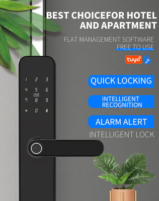 TTLOCK Tuya Graffiti Smart Outdoor Biometric Door Lock For Home