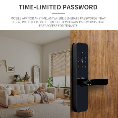 TTLOCK Tuya Graffiti Smart Outdoor Biometric Door Lock For Home