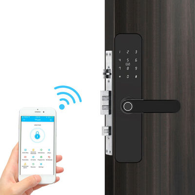 TTLOCK Tuya Graffiti Smart Outdoor Biometric Door Lock For Home