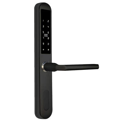 Double Sided digital Smart Fingerprint Door Lock Swipe Card Stainless Steel