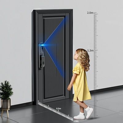 Biometric Fingerprint Mortise Lock Face Recognition Electronic For Bedroom Door
