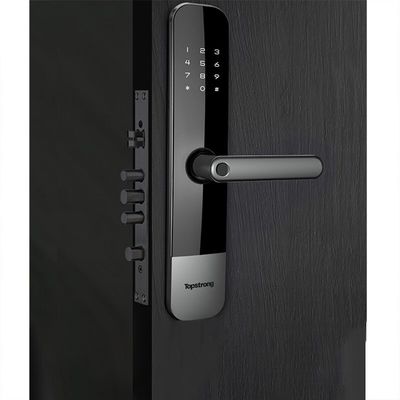 Digital Fingerprint Mortise Lock Anti Theft For Door Custom
