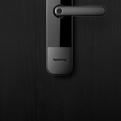 Digital Fingerprint Mortise Lock Anti Theft For Door Custom