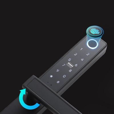 Aluminum Wifi Remote Biometric Digital Lock Fingerprint Password For House