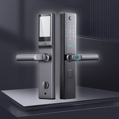 Antipencurian Smart sidik jari Kunci Pintu Biometrik Kunci Gerbang Luar Ruangan Pengakuan Wajah