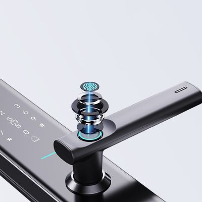 Antipencurian Smart sidik jari Kunci Pintu Biometrik Kunci Gerbang Luar Ruangan Pengakuan Wajah