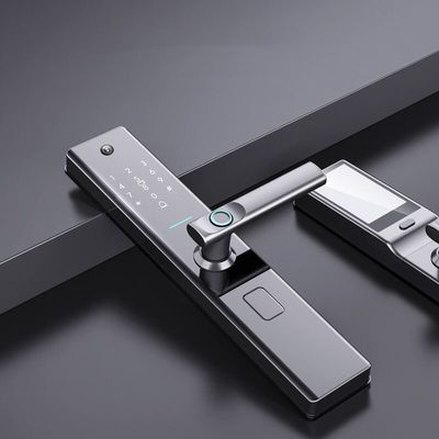 Antipencurian Smart sidik jari Kunci Pintu Biometrik Kunci Gerbang Luar Ruangan Pengakuan Wajah