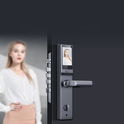 Antipencurian Smart sidik jari Kunci Pintu Biometrik Kunci Gerbang Luar Ruangan Pengakuan Wajah