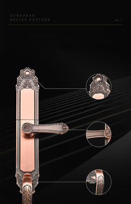 Household Waterproof Zinc Alloy Smart Fingerprint Door Lock For Loc Villa