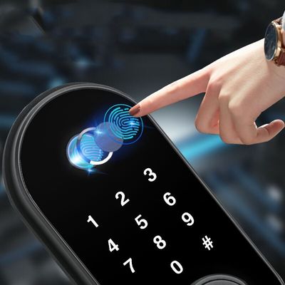Indoor Biometric Keypad Fingerprint Code Door Lock Password