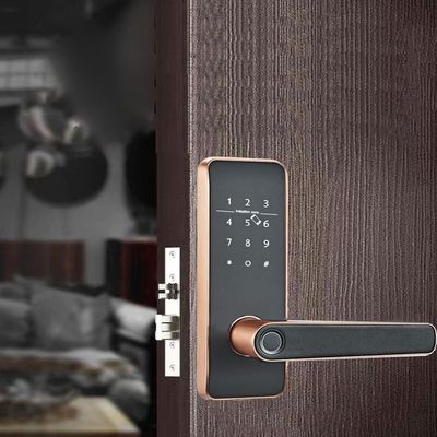 Biometric Deadbolt Smart Fingerprint Door Lock Wooden For Office Homestay Apartment