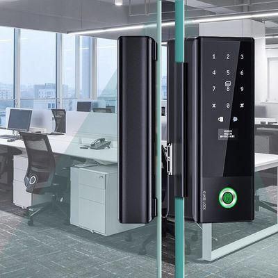 Zinc Wifi Keyless Door Lock Thumb Print Padlock Password Swipe Card