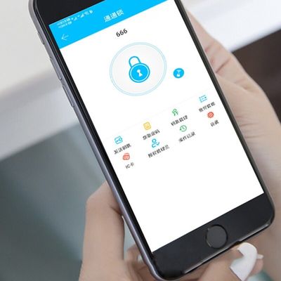 Fingerprint Bedroom Wifi Keyless Door Lock Mechanical Combination Door Lock ODM