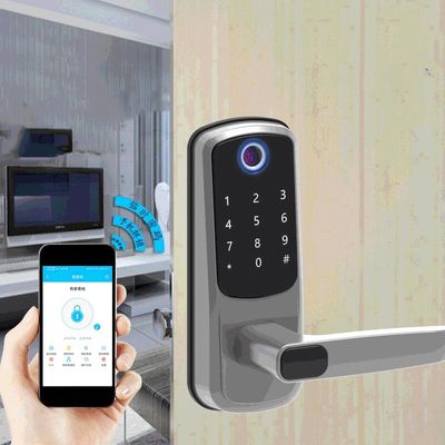 Fingerprint Bedroom Wifi Keyless Door Lock Mechanical Combination Door Lock ODM