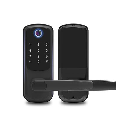 Fingerprint Bedroom Wifi Keyless Door Lock Mechanical Combination Door Lock ODM
