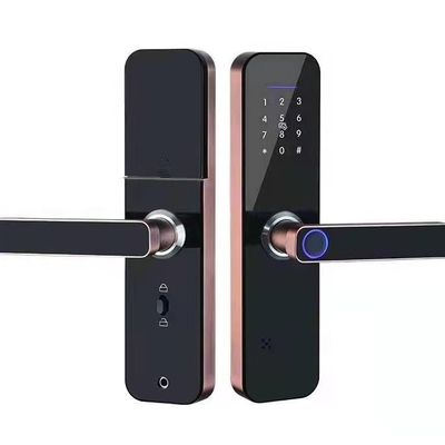 Virtual Password Fingerprint Door Lock Keyless Bluetooth Wifi Biometric Digital For Business