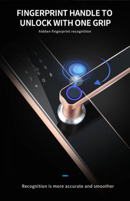 Virtual Password Fingerprint Door Lock Keyless Bluetooth Wifi Biometric Digital For Business