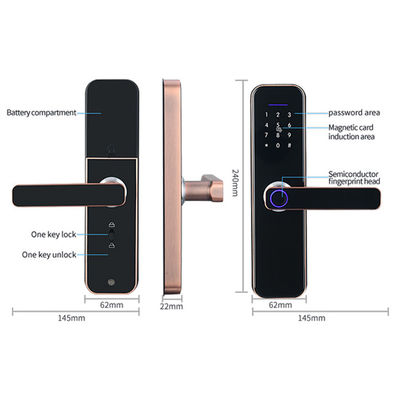 Multi-Functional Fingerprint door Lock for Enhanced Security Keyless Bluetooth Wifi Biometric intelligent door lock