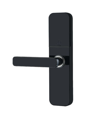 Fingerprint Door Lock Keyless Bluetooth Wifi Biometric Digital For Business