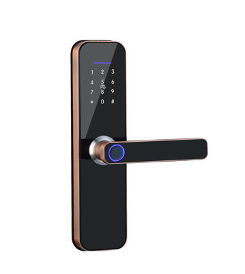 Fingerprint Door Lock Keyless Bluetooth Wifi Biometric Digital For Business
