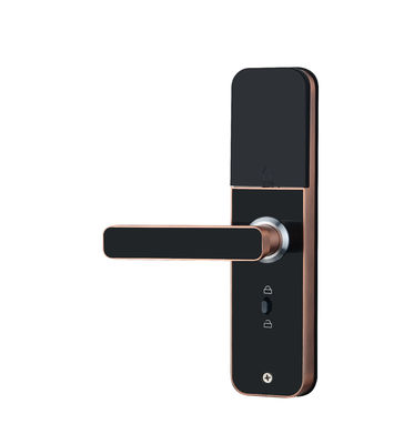 Fingerprint Door Lock Keyless Bluetooth Wifi Biometric Digital For Business