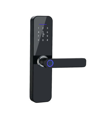 Fingerprint Door Lock Keyless Bluetooth Wifi Biometric Digital For Business