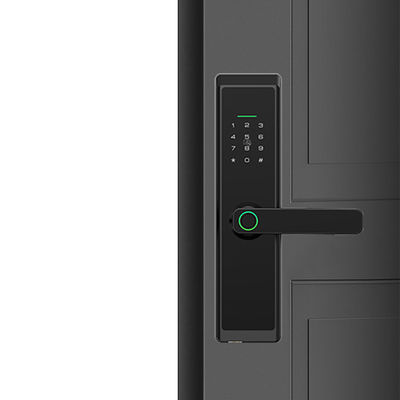 Apartment Code Lock B&amp;B Home Smart Fingerprint Lock Room Wooden Door APP Remote Unlock Office Graffiti Lock