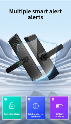 Door Knob with Lock and Keyed Keyless Entry Door Lock with Auto-Lock Anti-Peeping Password for Apartment Or Office